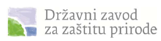 dzzp_logo